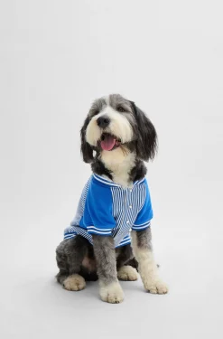 Dog bomber jacket with embroidered logo