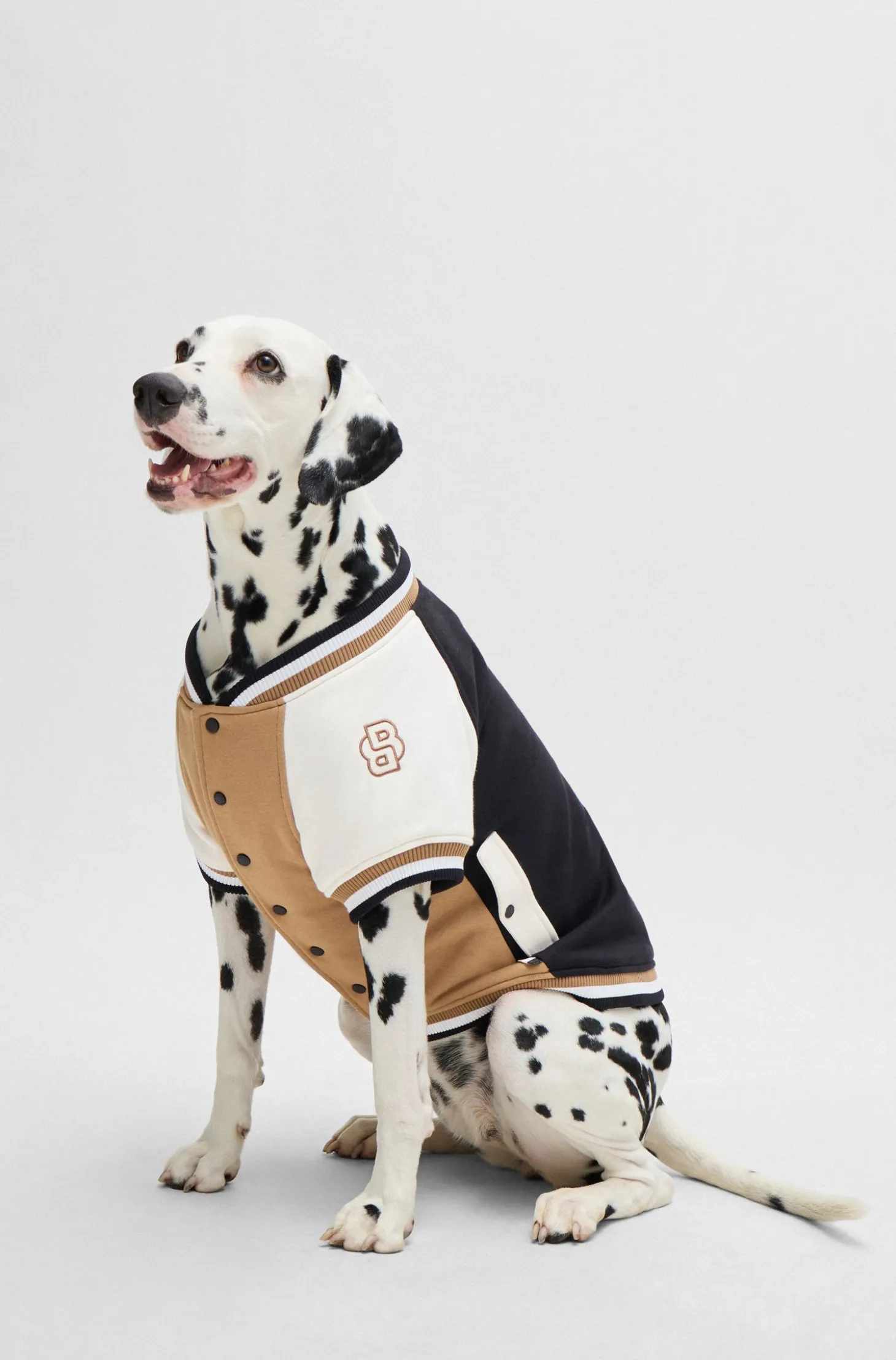 Dog bomber jacket with embroidered logo