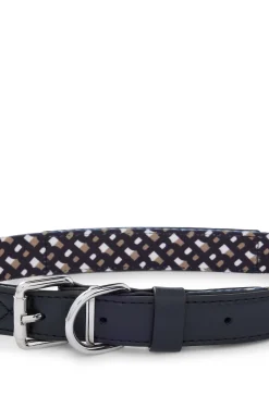Dog collar with metal hardware