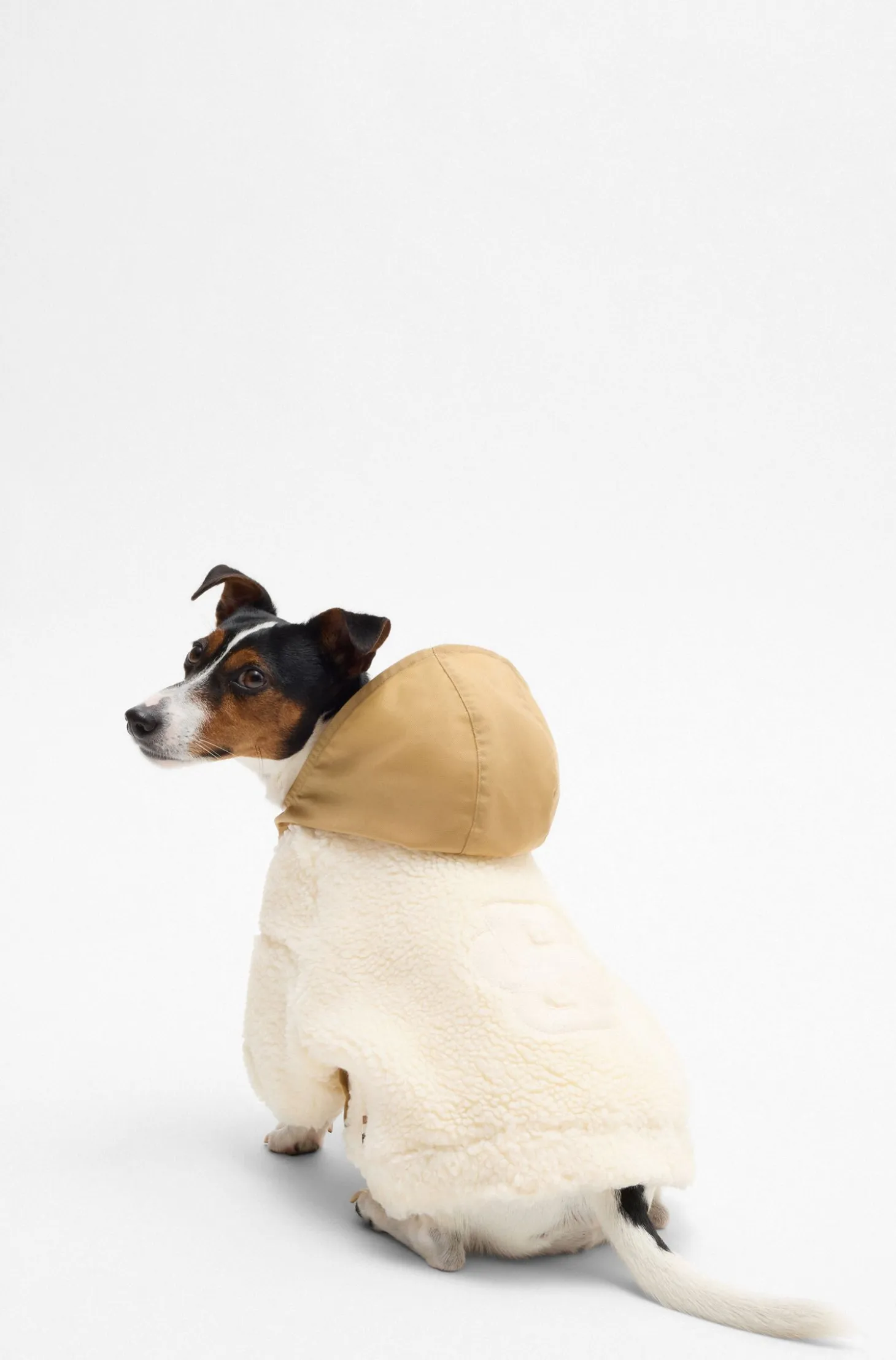 Dog fleece jacket with Double B monogram