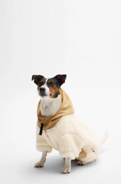 Dog fleece jacket with Double B monogram