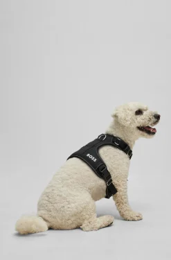 Dog harness with padding