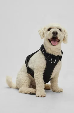 Dog harness with padding