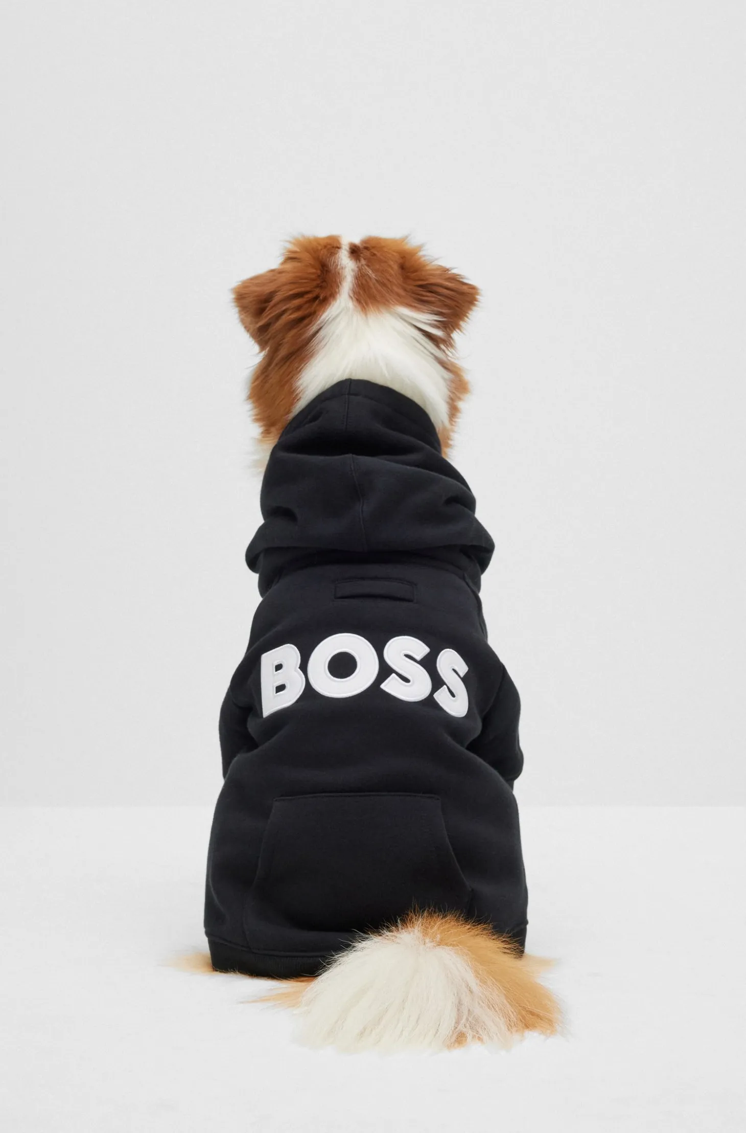Dog hoodie in a cotton blend with contrast logo
