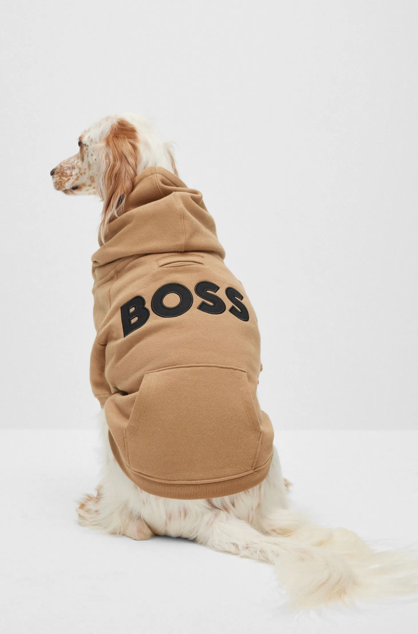 Dog hoodie in a cotton blend with contrast logo