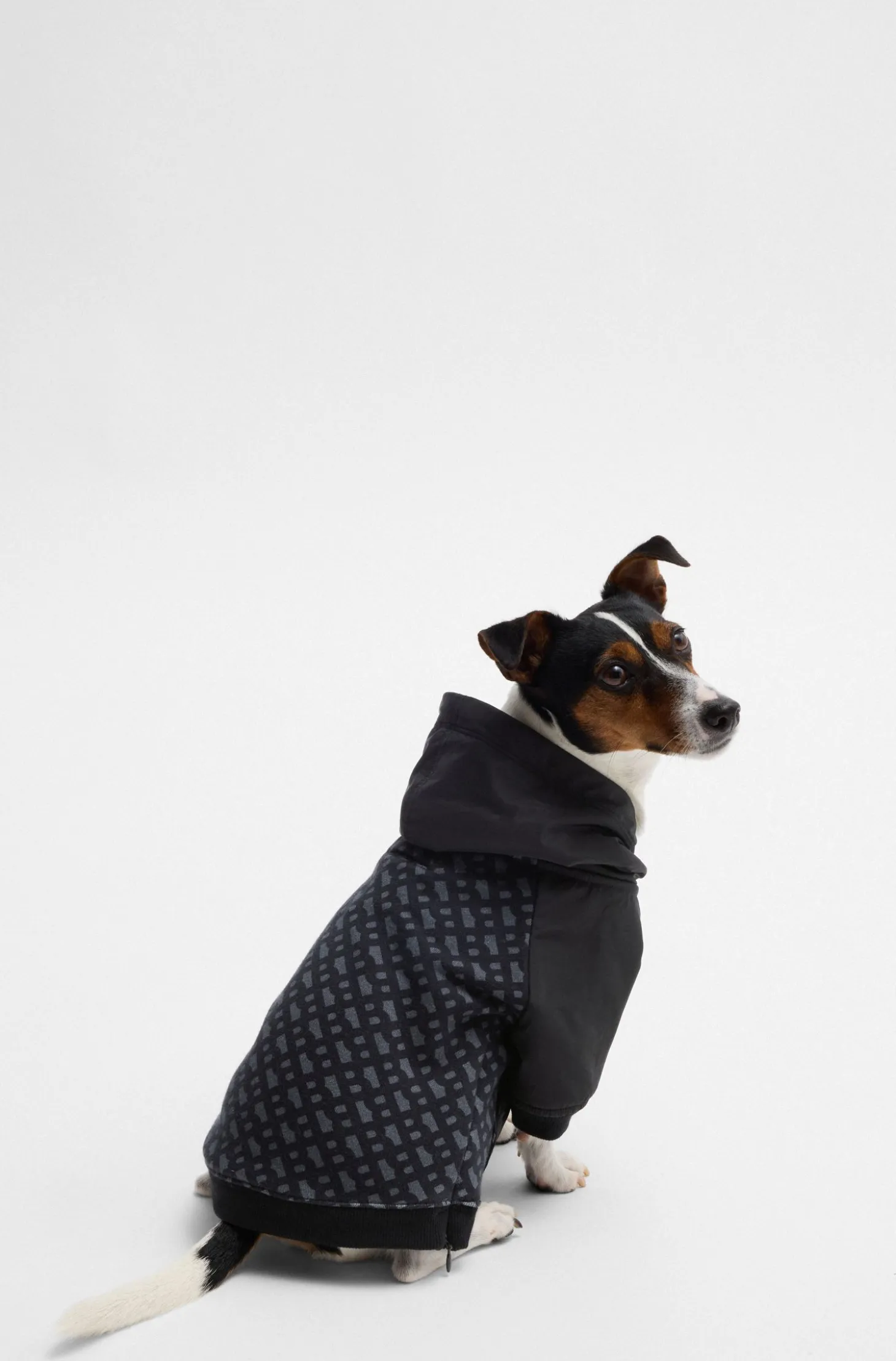 Dog hoodie with monogram pattern
