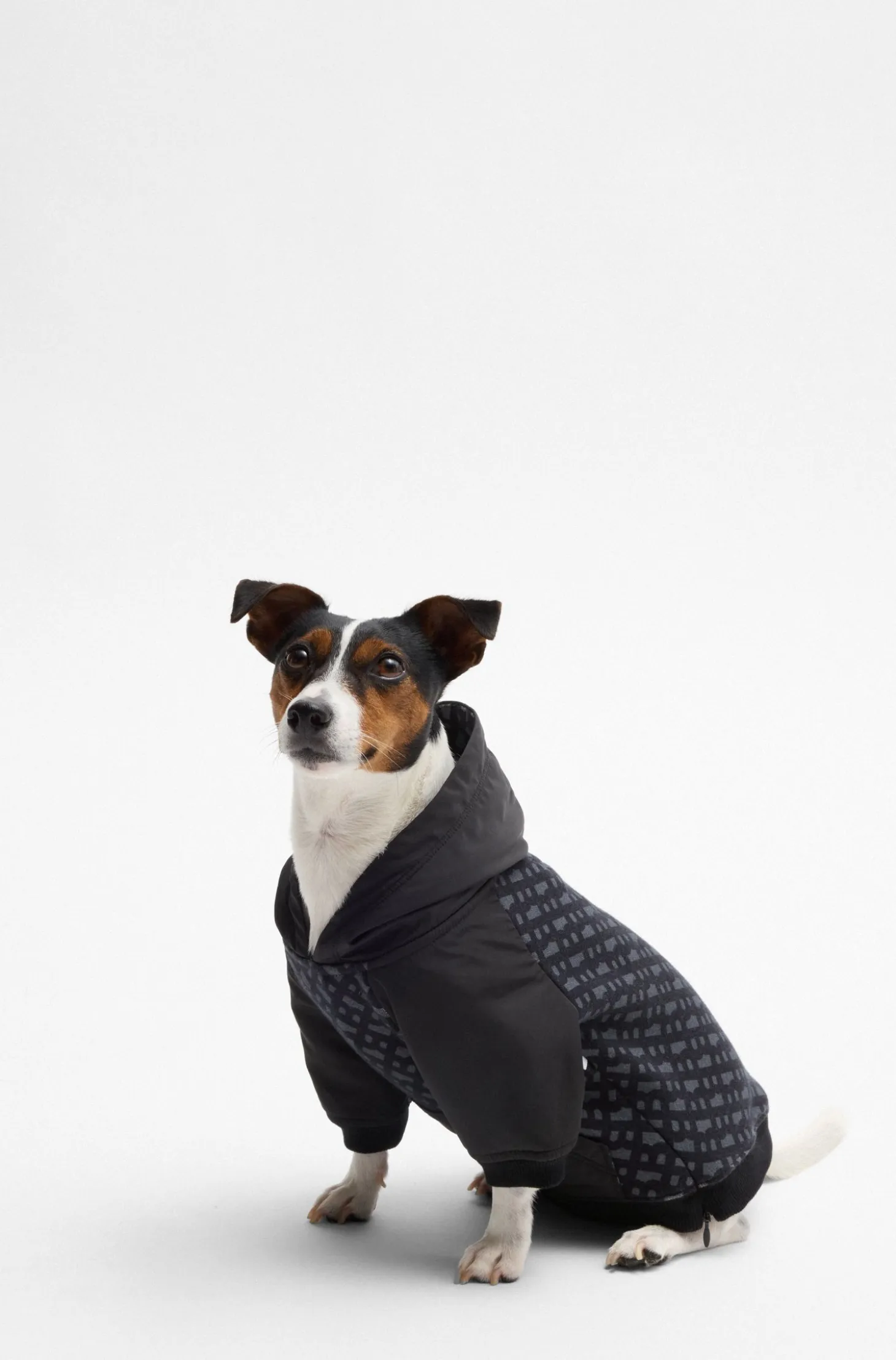 Dog hoodie with monogram pattern