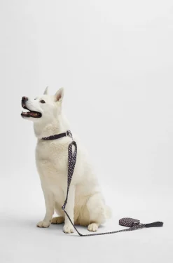 Dog lead with logo embossing