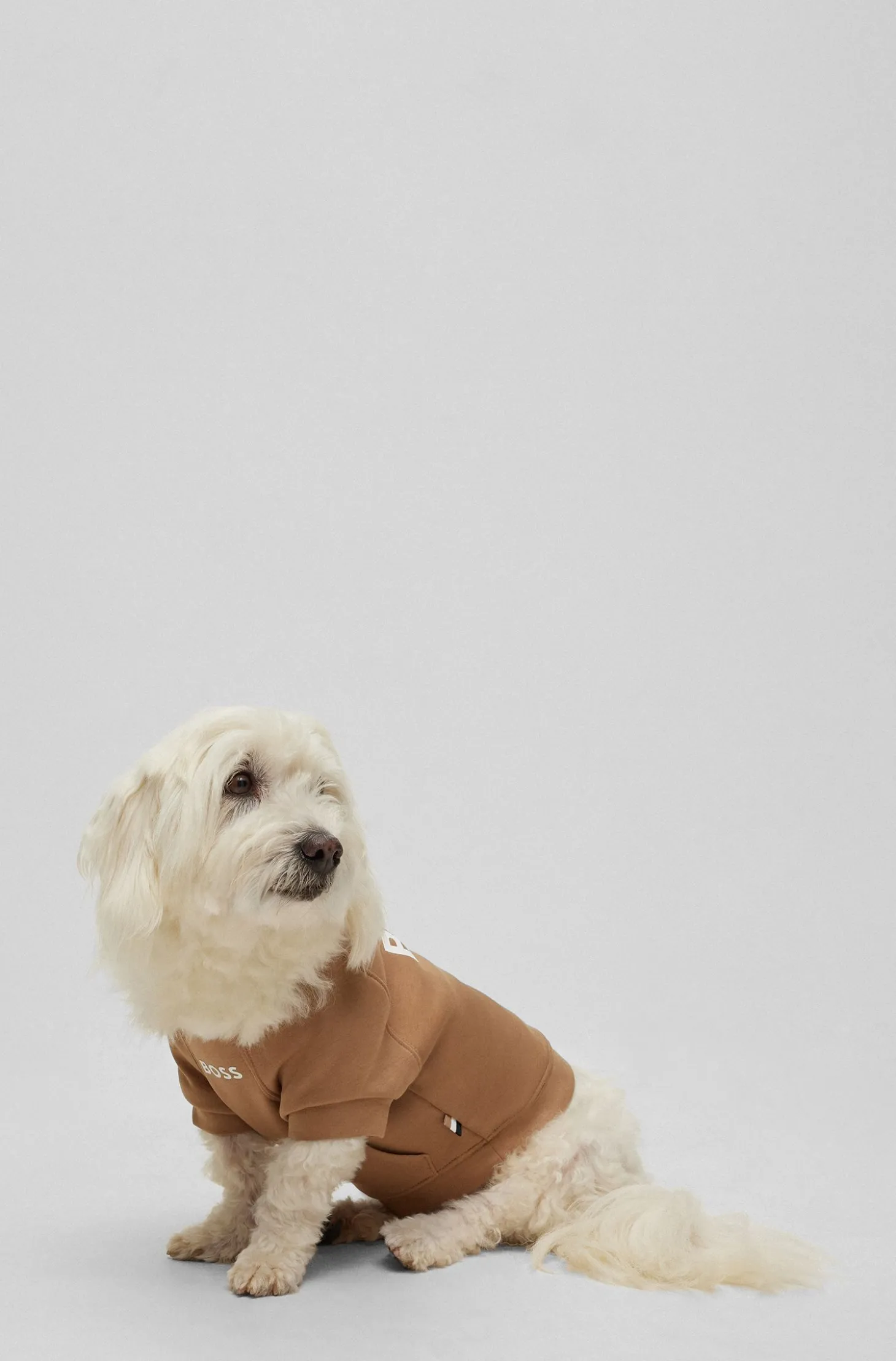 Dog sweater in a cotton blend