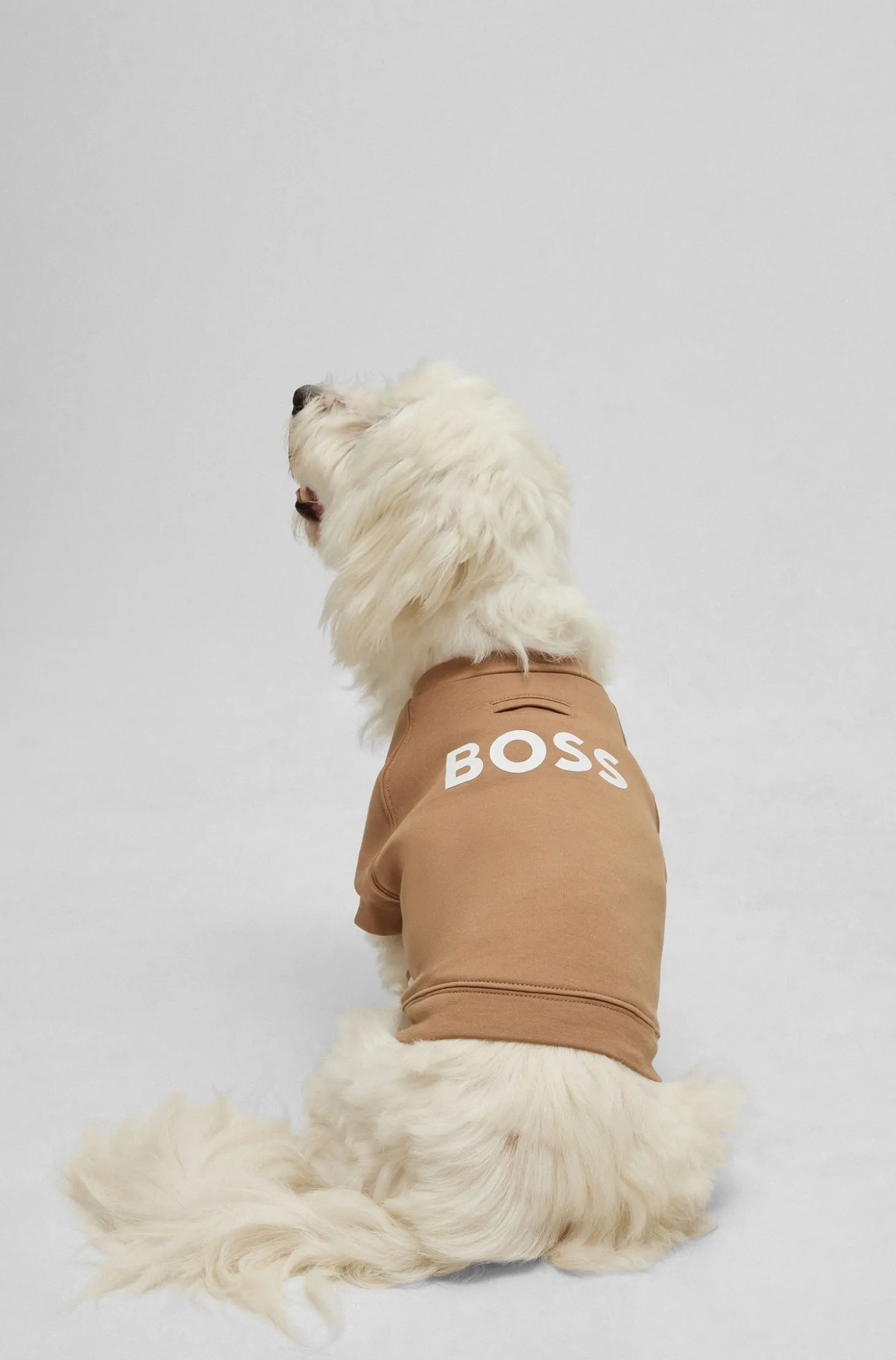 Dog sweater in a cotton blend