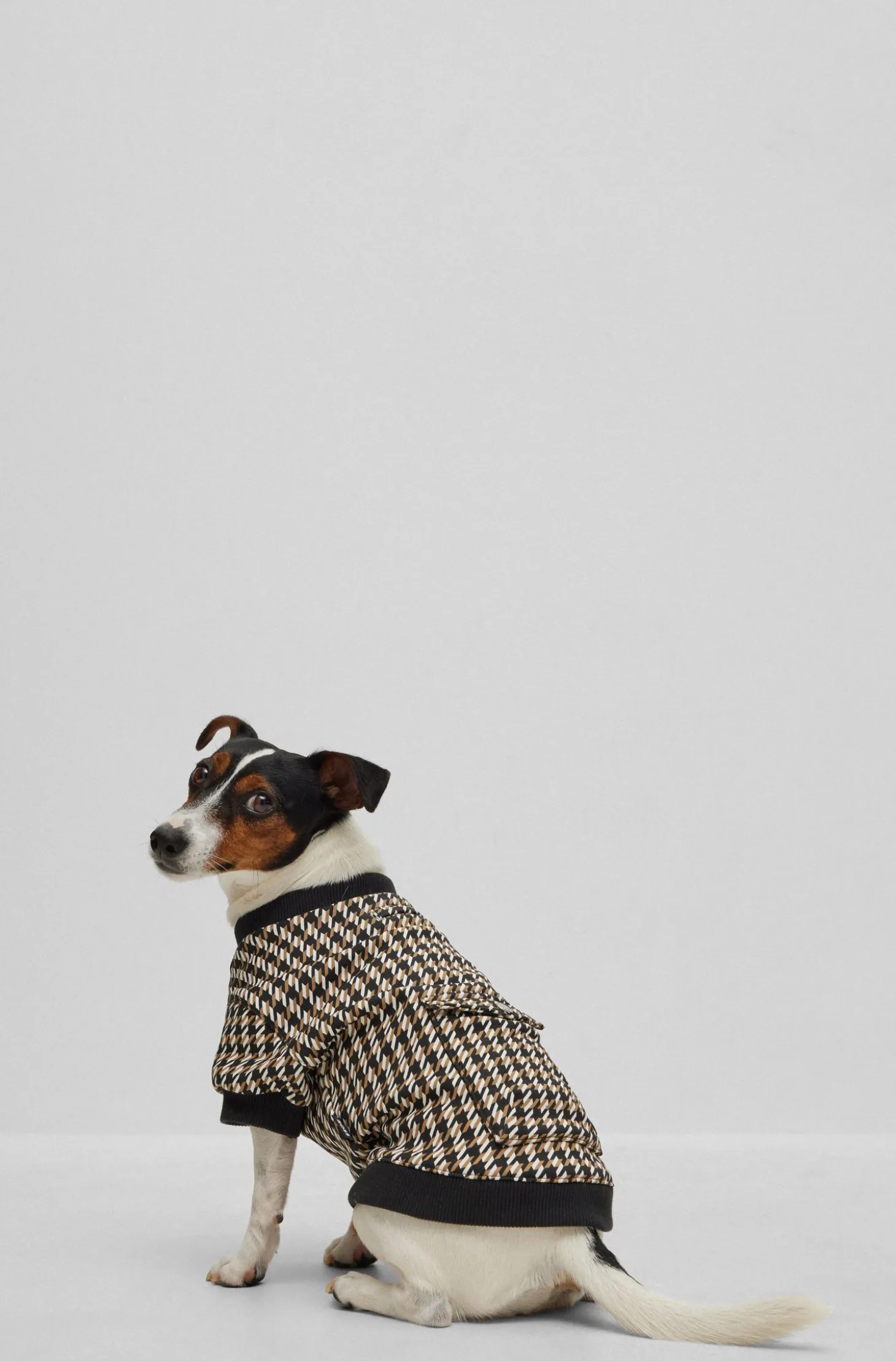Dog T-shirt in a cotton blend with logo