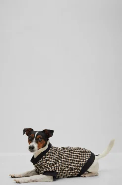 Dog T-shirt in a cotton blend with logo