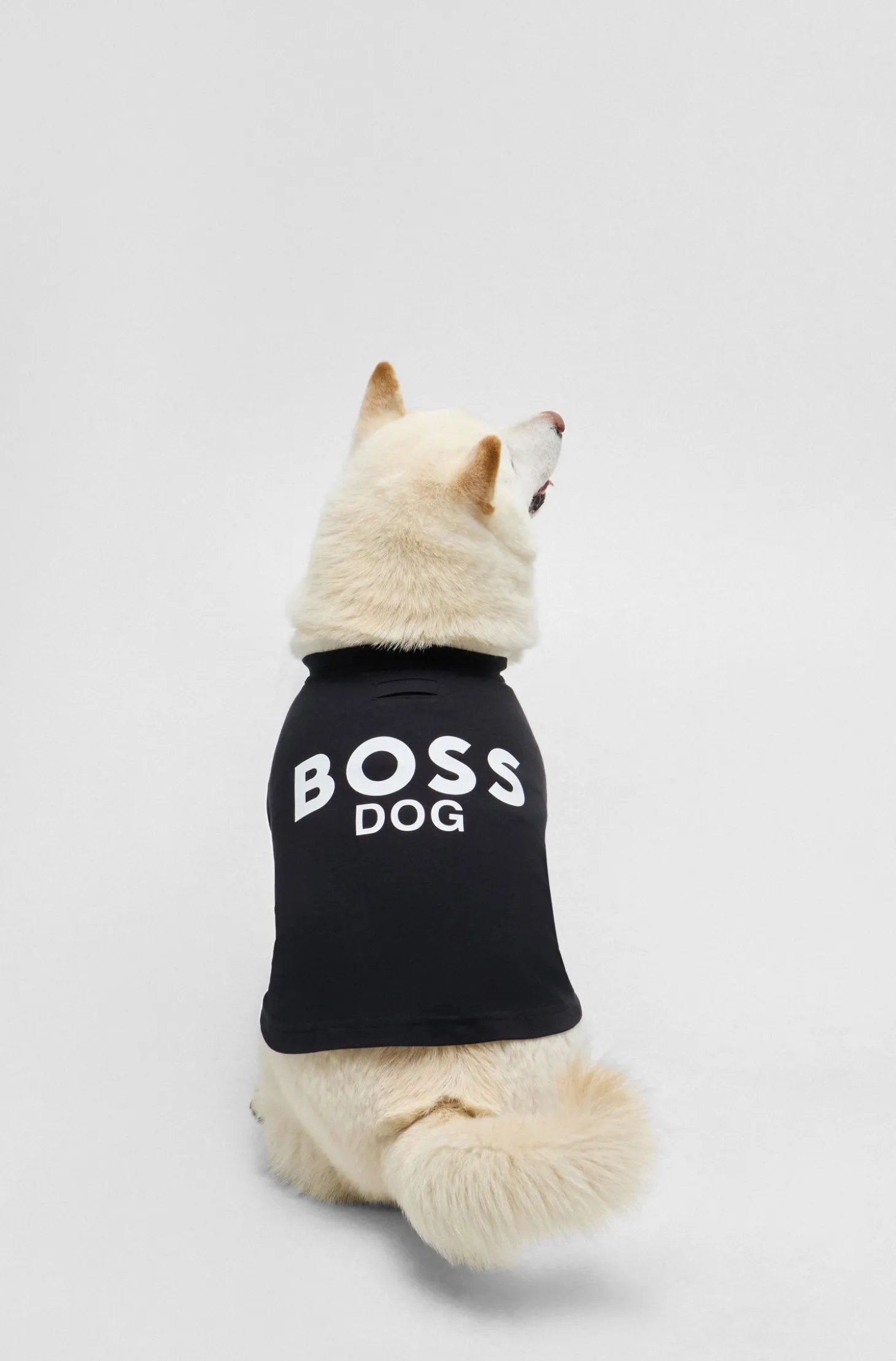 Dog T-shirt in cotton with logo print