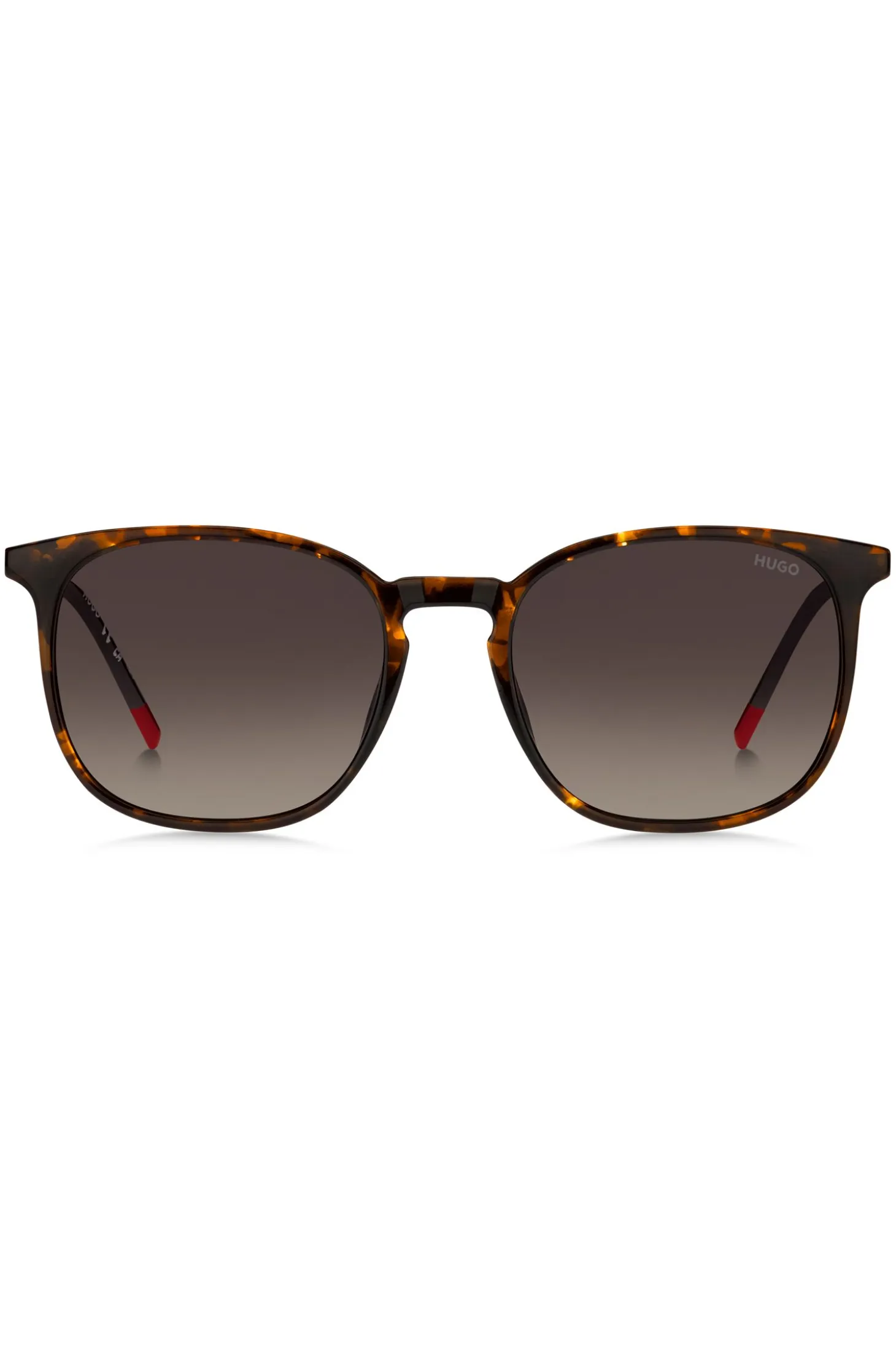 Havana sunglasses with gold-tone temples