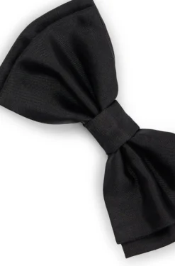 Silk bow tie and cummerbund gift set